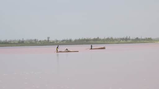 Special algae cause the lake to appear pink