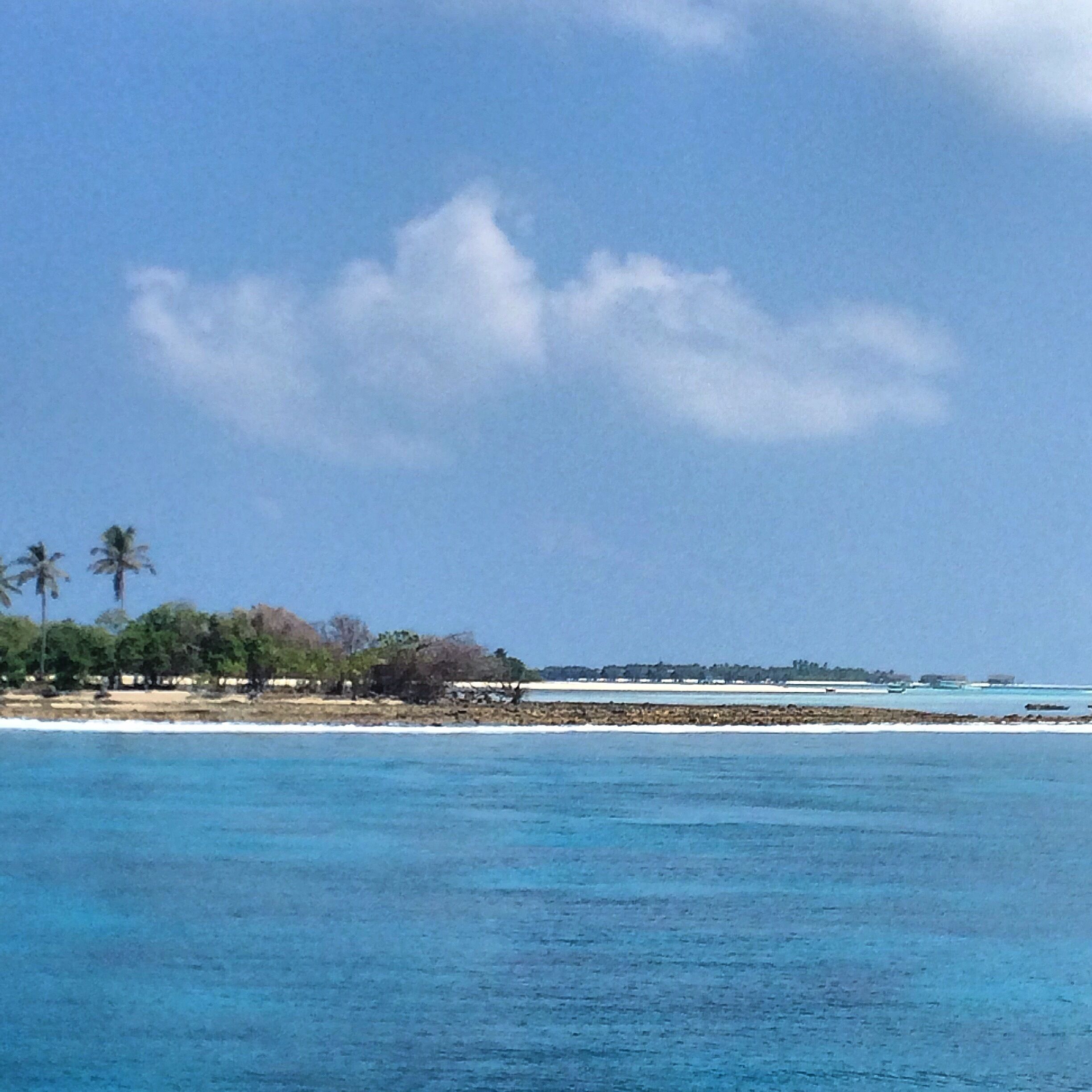 Scuba dive 
K, Guraidhoo 
Maldives 