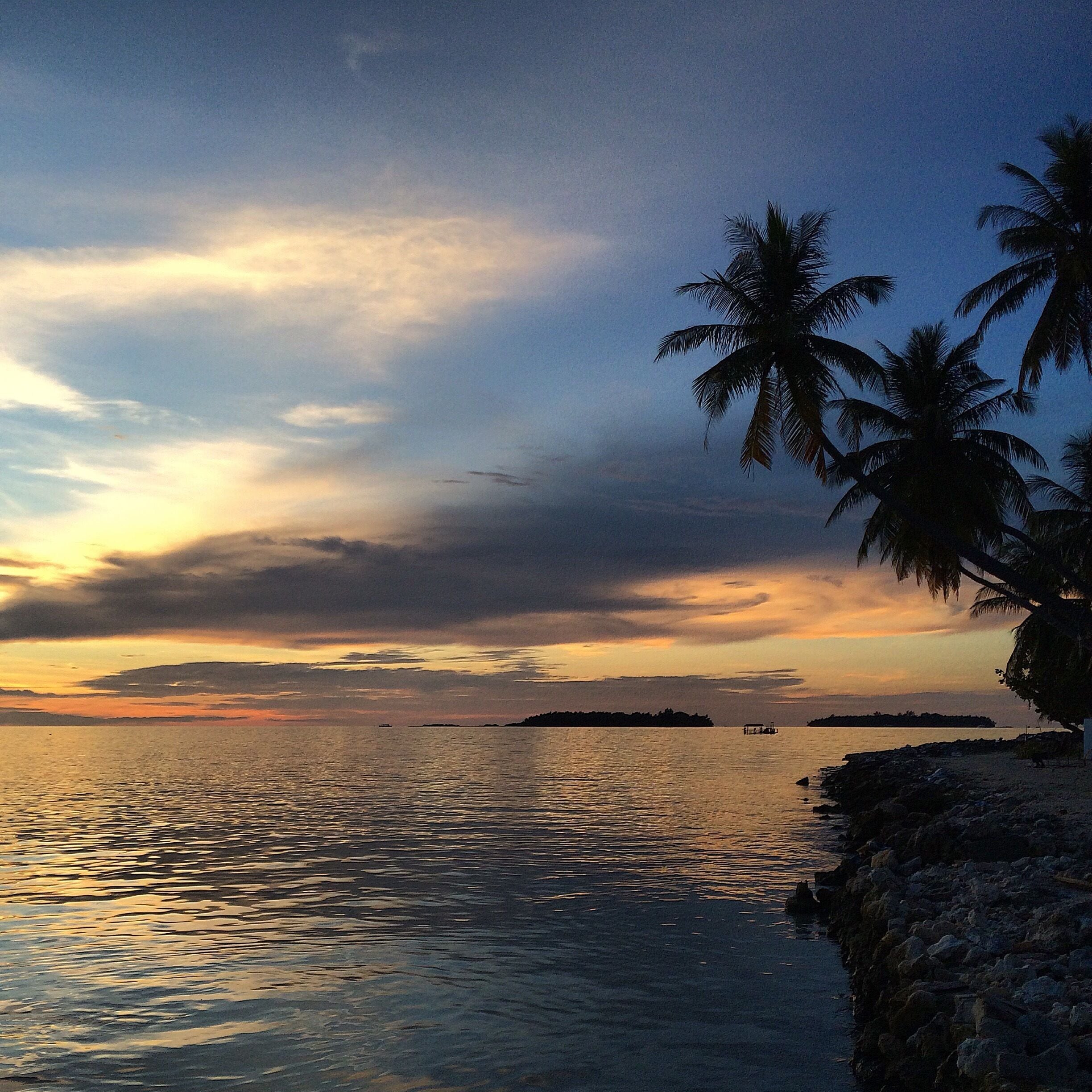 A sunset over a calm sea with palm trees and rocky coastline.