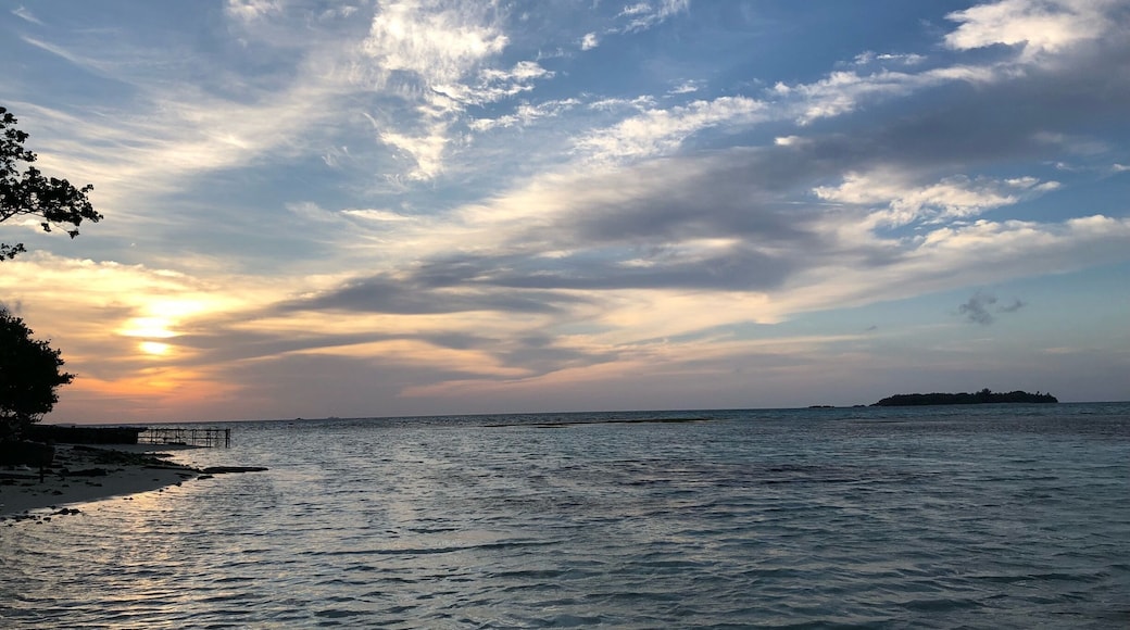 Perfect example of love at first sight.
#BeachTips