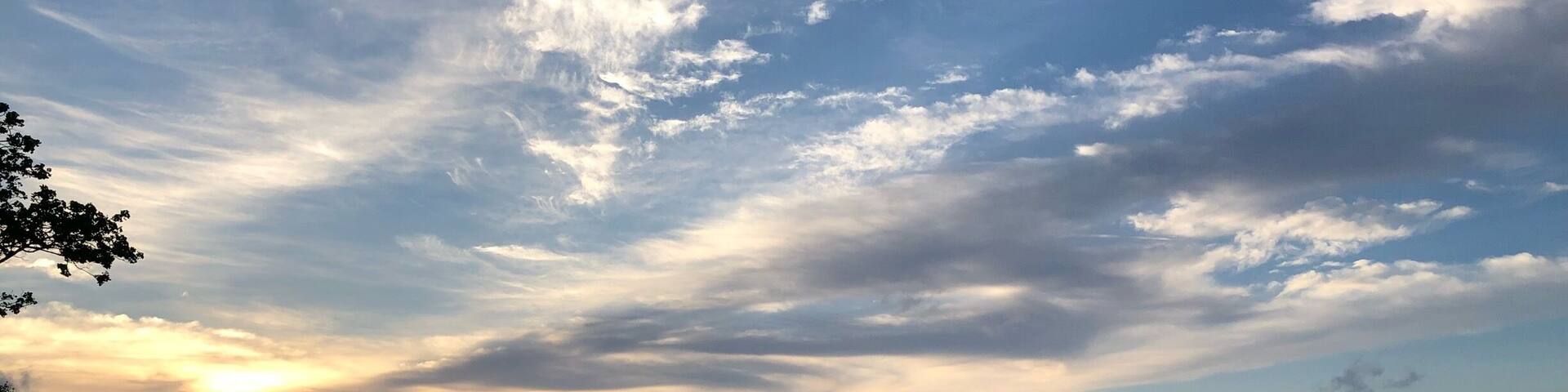 Perfect example of love at first sight.
#BeachTips