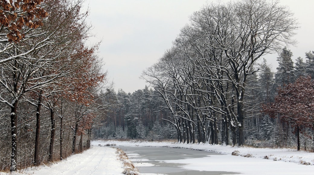 Kanal nahe Schleuse 59 im Januar 2012