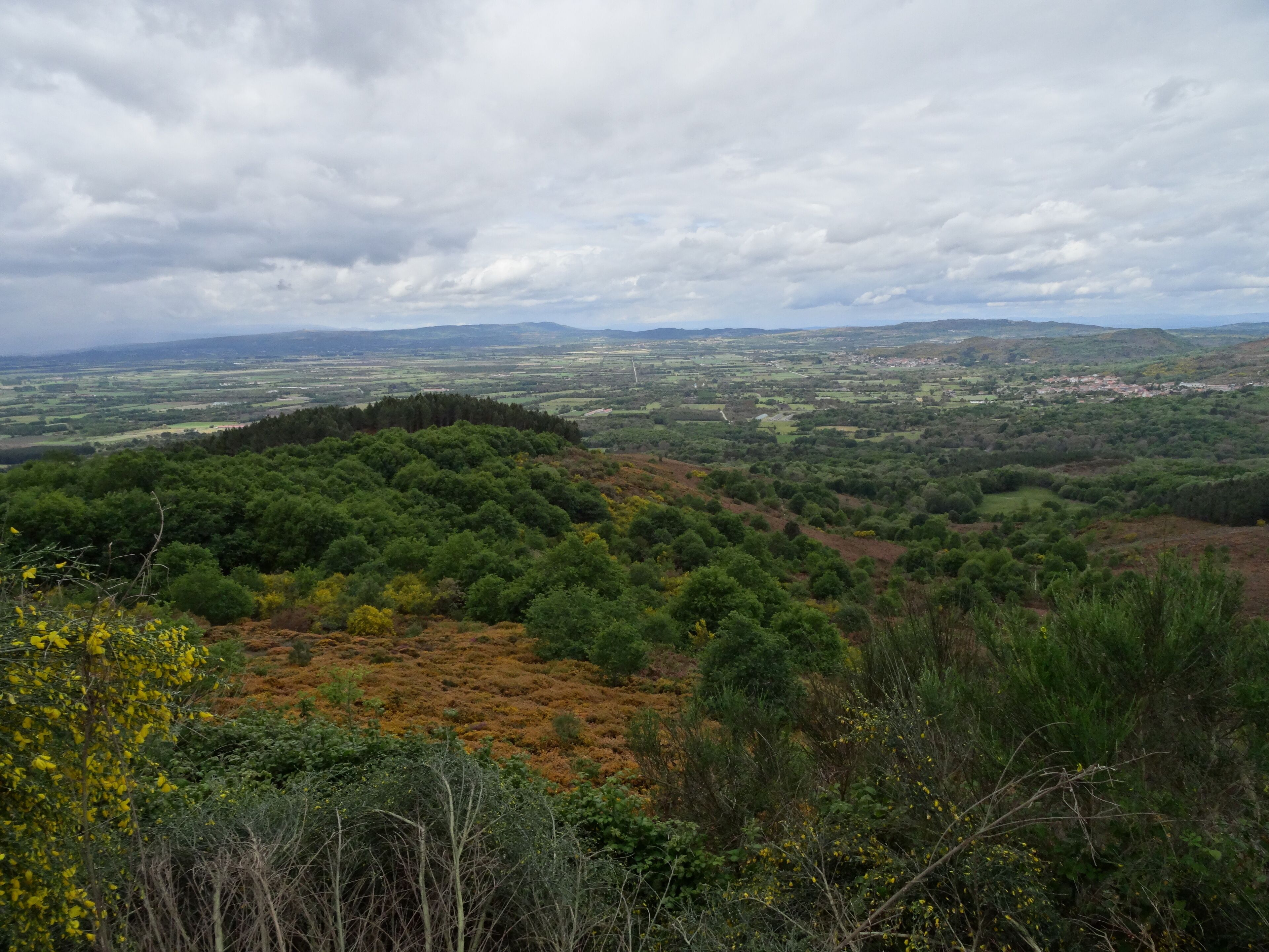 A lush green landscape with a hill in the foreground and a town in the distance under a cloudy sky.
