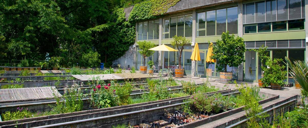 Giardino Botanico caratteristiche di parco