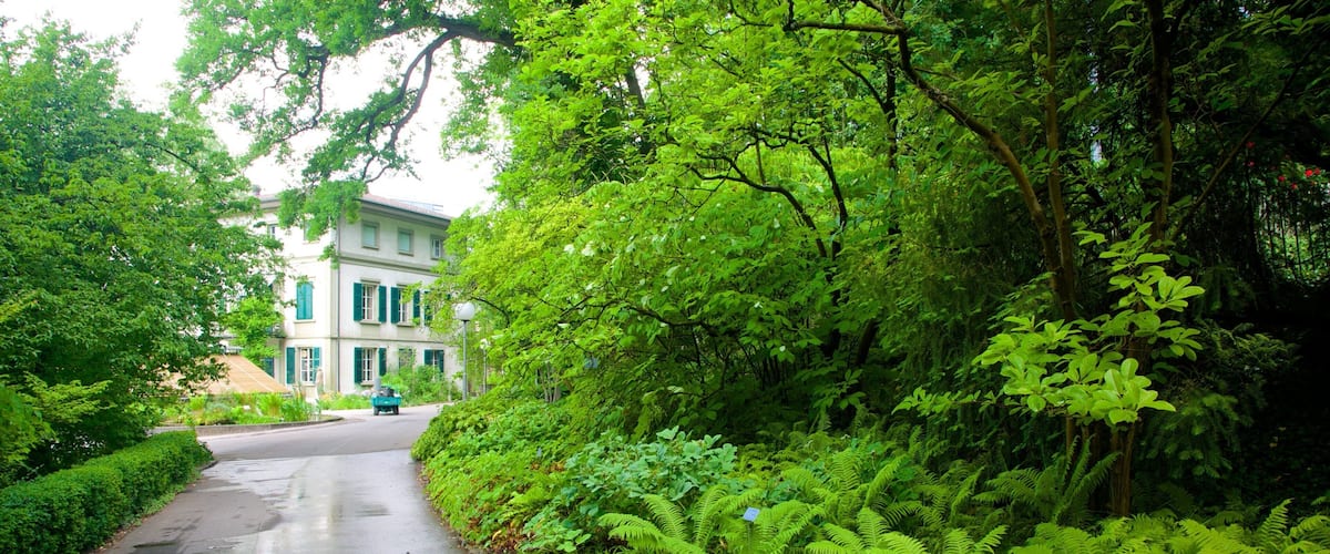 Botanical Garden which includes street scenes and tropical scenes