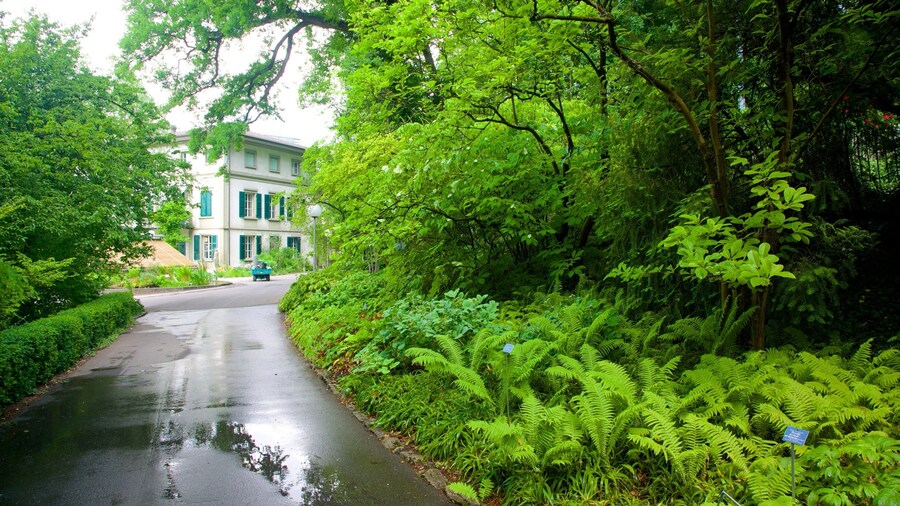 Jardim BotĂąnico que inclui cenas tropicais e cenas de rua