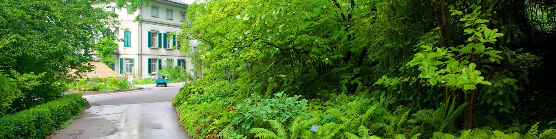 Jardim Botânico que inclui cenas tropicais e cenas de rua