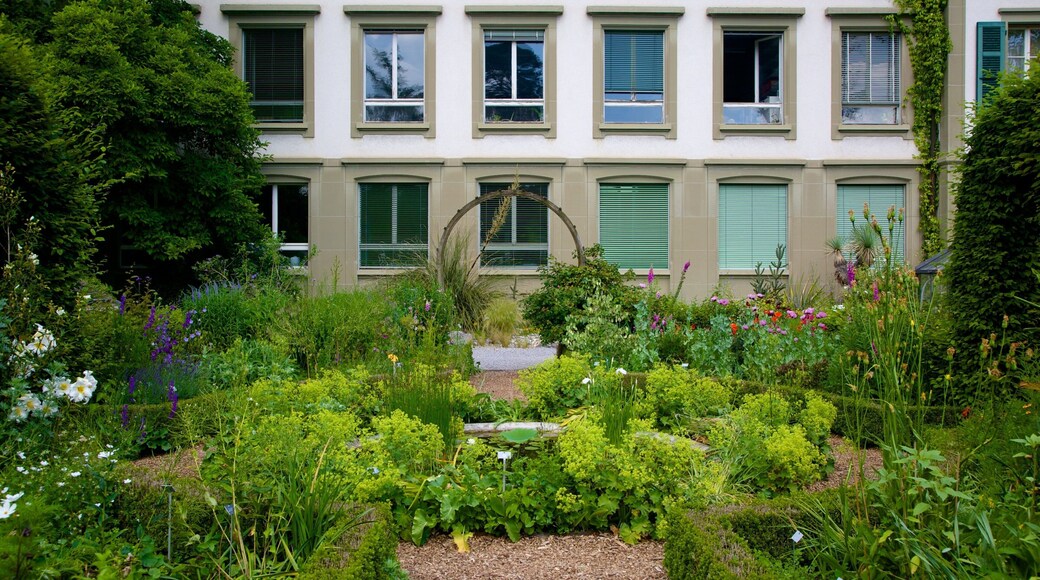 Botanical Gardens which includes a garden