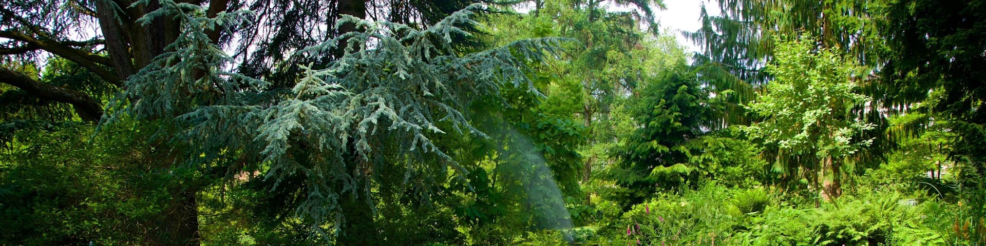 Botanical Garden featuring a garden and a pond