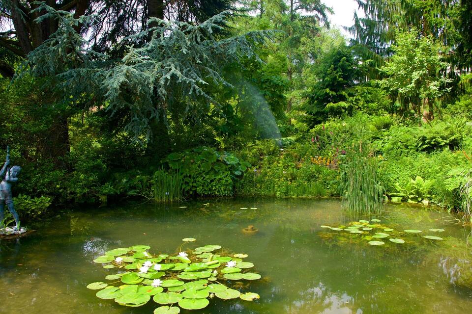 A pond with lily pads and a statue of a boy holding a sword.