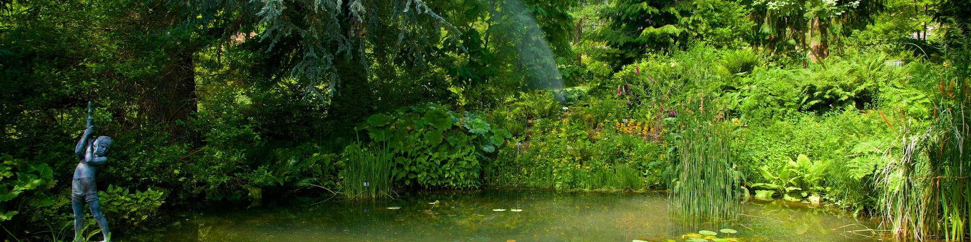 Jardim BotĂąnico caracterizando um jardim e um lago