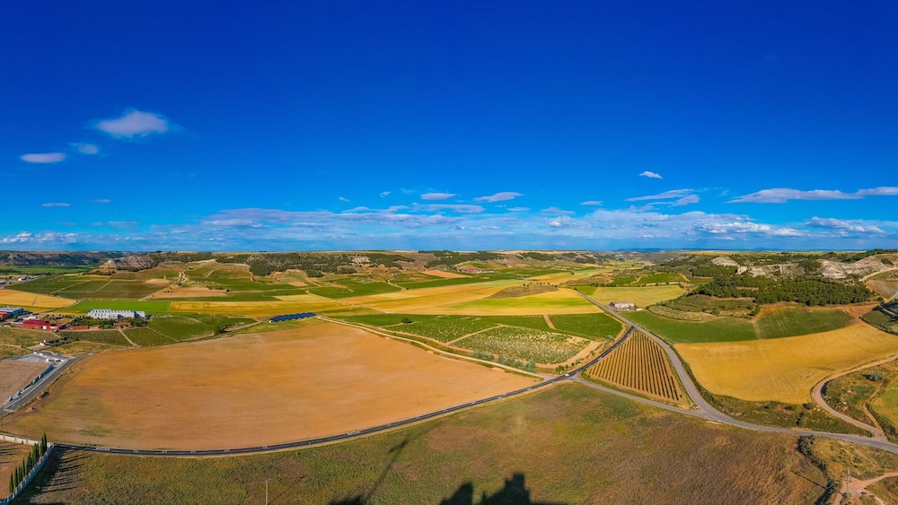 Vineyards surrounding Spanish town Penafiel