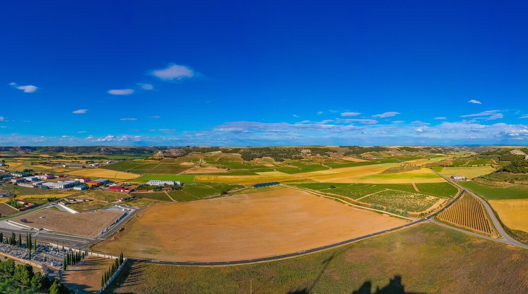 Vineyards surrounding Spanish town Penafiel