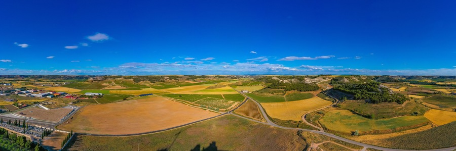 Vineyards surrounding Spanish town Penafiel