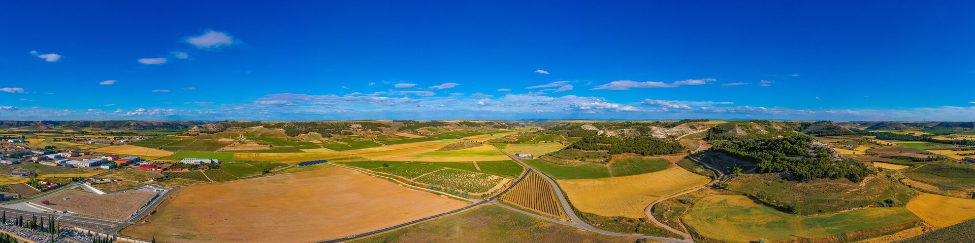 Vineyards surrounding Spanish town Penafiel
