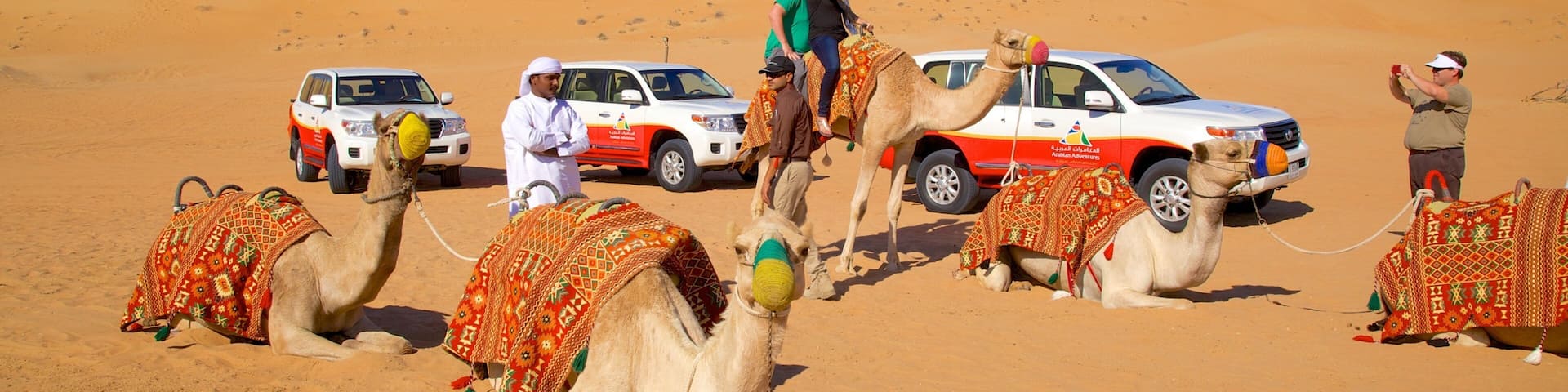Désert de Dubaï montrant animaux terrestres, visite en voiture et vues du désert