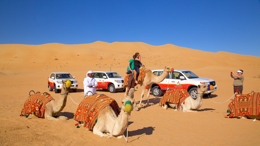 Dubai Desert which includes vehicle touring, desert views and land animals