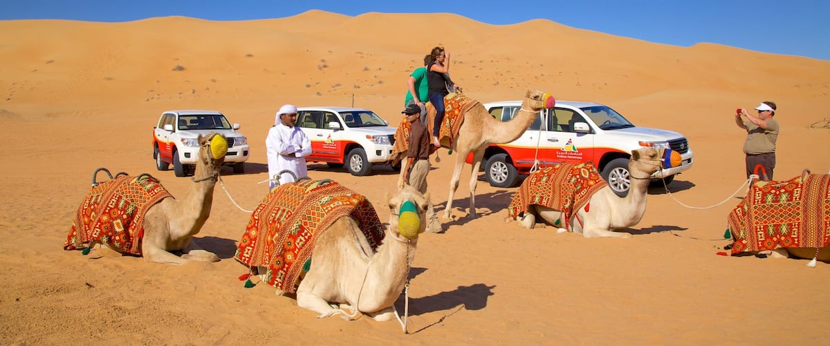 A desert landscape with camels and vehicles.