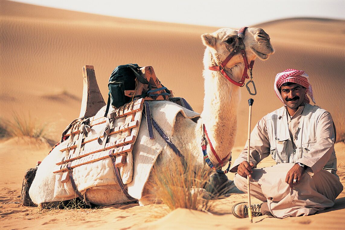 A camel with a saddle and a person sitting beside it in a desert.