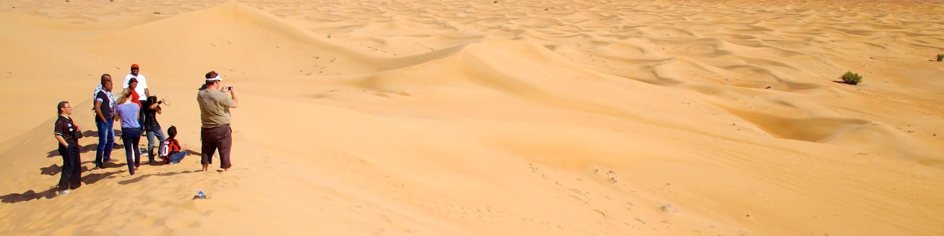Dubai Desert showing desert views as well as a small group of people
