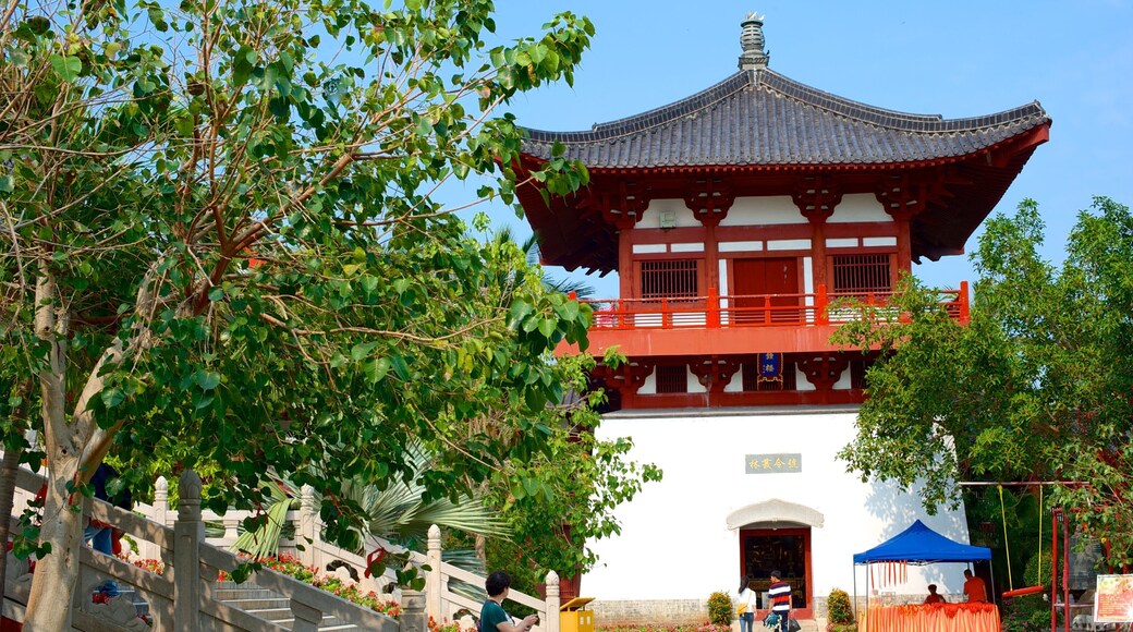 Nanshan Temple som viser religiøse aspekter og et tempel eller et tilbedelsessted