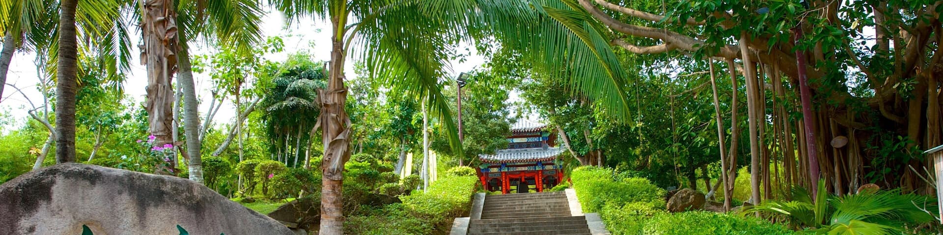 Templo Nanshan mostrando señalización y un parque