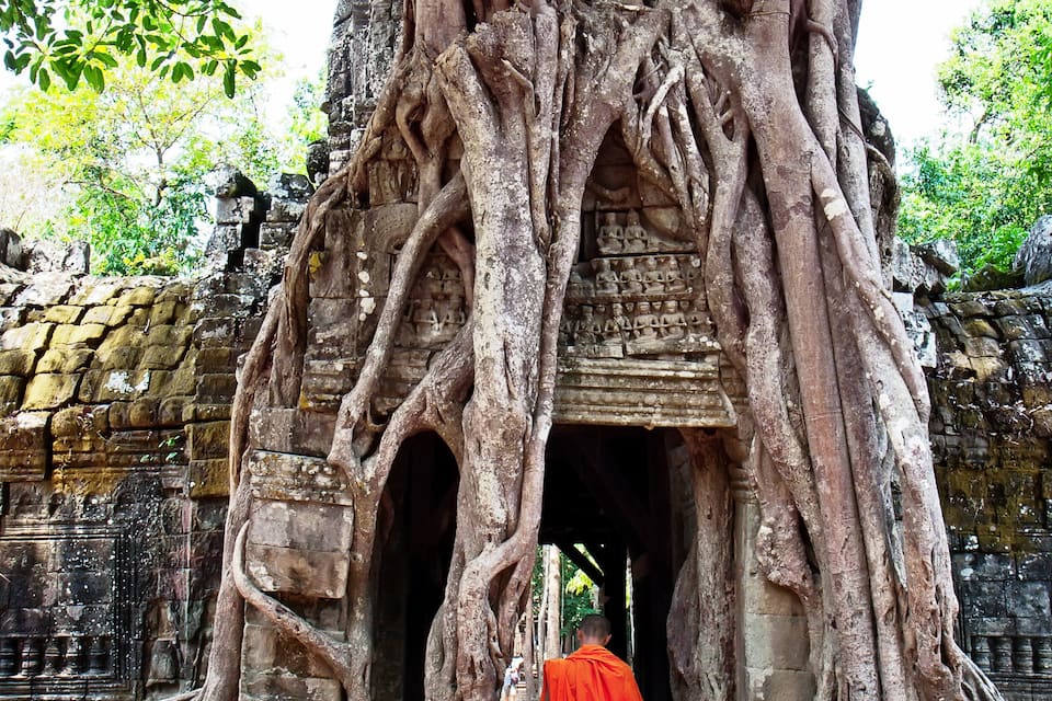 A tree with extensive roots growing around an ancient stone structure.