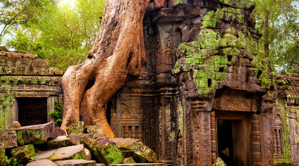 Ta Prohm temple. Ancient Khmer architecture under the giant roots of a tree at Angkor Wat complex, Siem Reap, Cambodia.