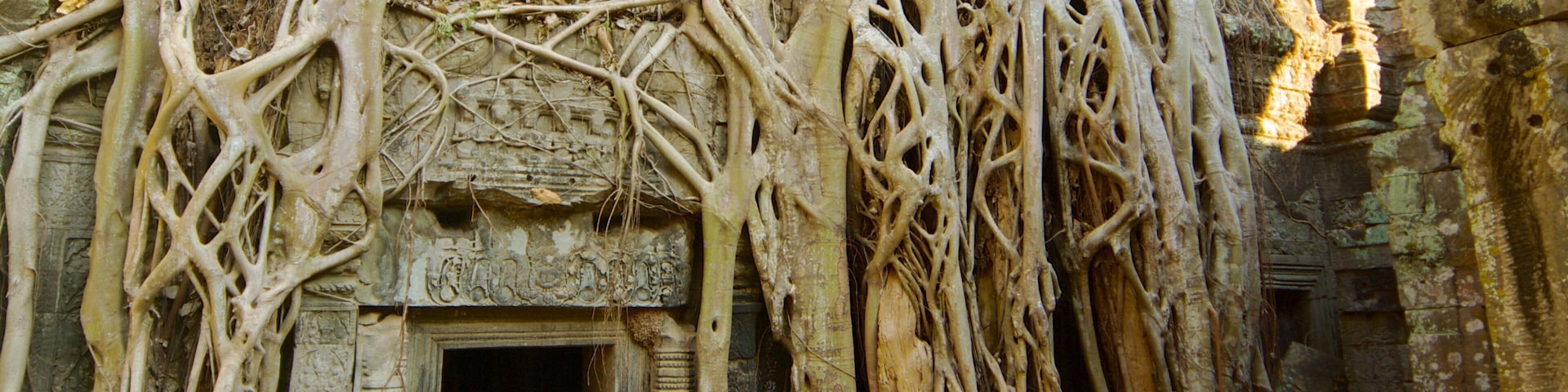 Ta Prohm Temple which includes religious aspects, a temple or place of worship and forests