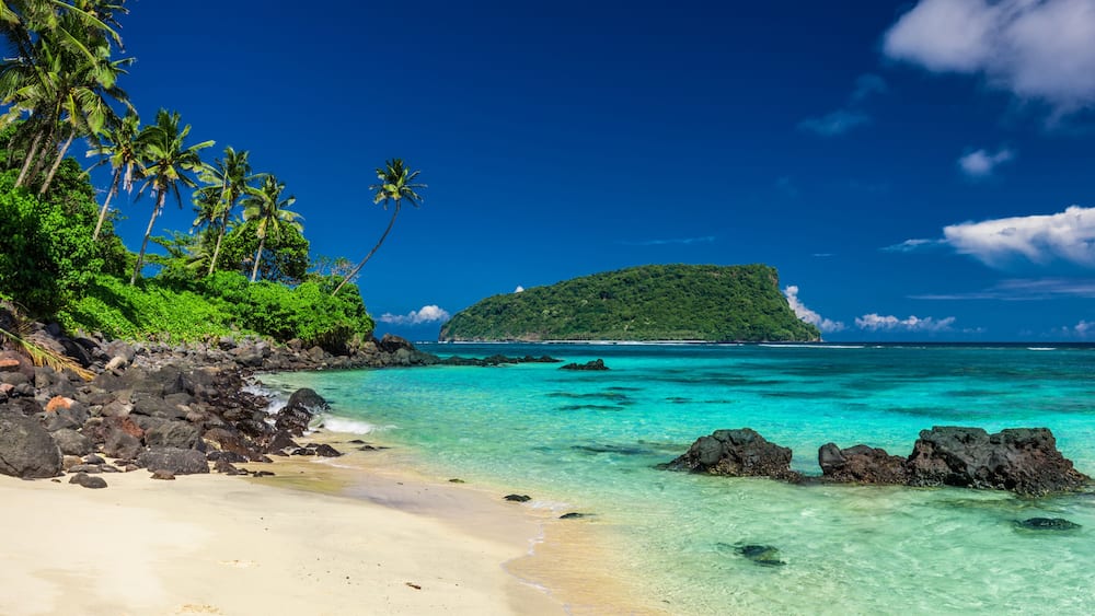 A tropical beach with clear turquoise waters, sandy shore, and lush greenery including palm trees.