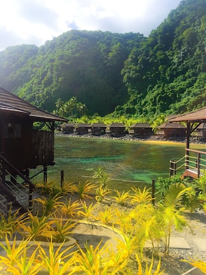 Lush Greens Clear Waters 🇼🇸😍