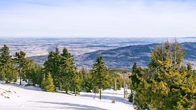 Mountains in Swieradow-Zdroj in winter in Low Silesia, Poland; Shutterstock ID 594528473