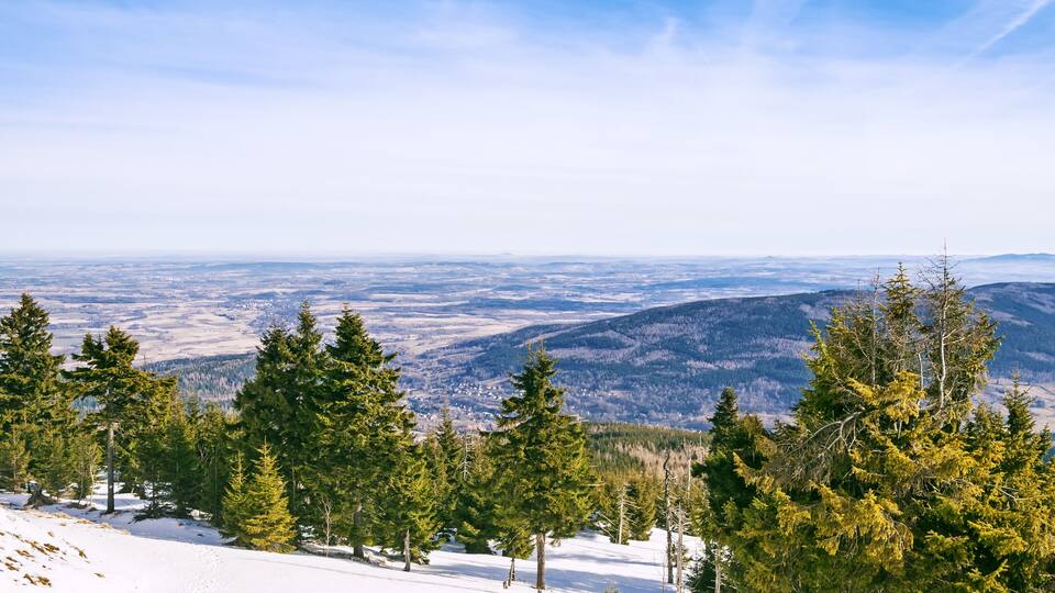 A snowy mountain landscape with evergreen trees and a distant view of a valley.