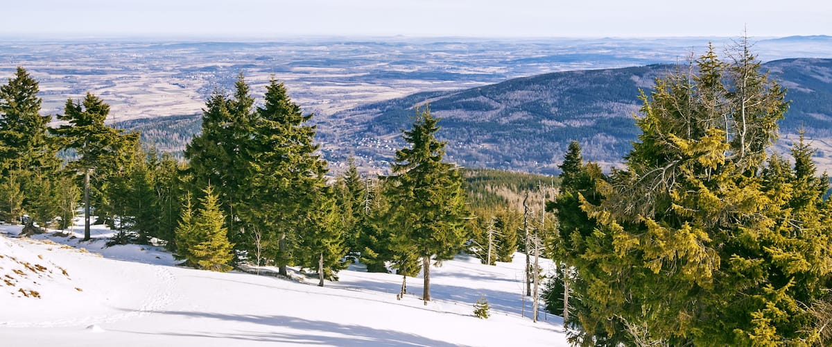 A snowy mountain landscape with evergreen trees and a distant view of a valley.