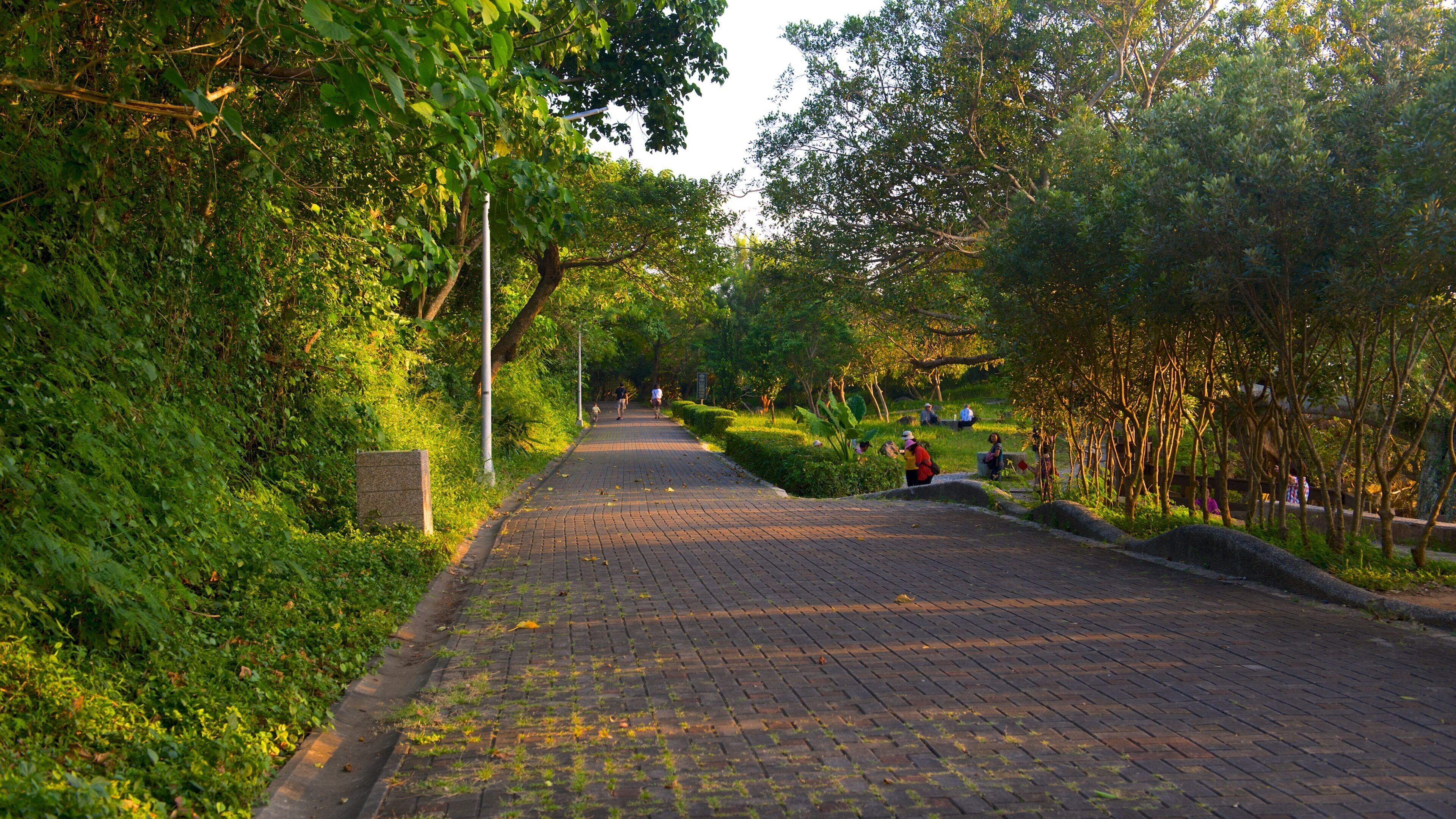 Un sendero pavimentado bordeado de vegetación exuberante y árboles, que conduce a un parque.