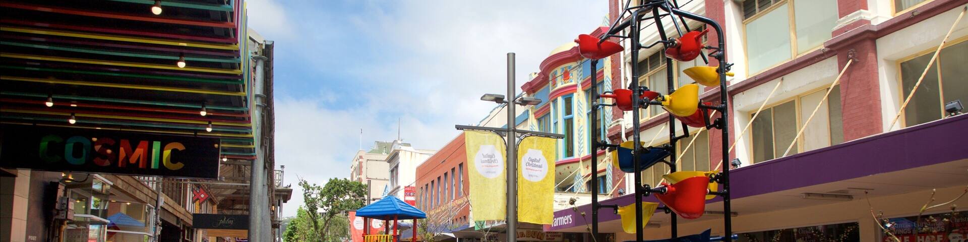 Bucket Fountain which includes a fountain, street scenes and cbd