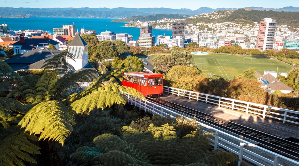 Wellington cable car going to the top