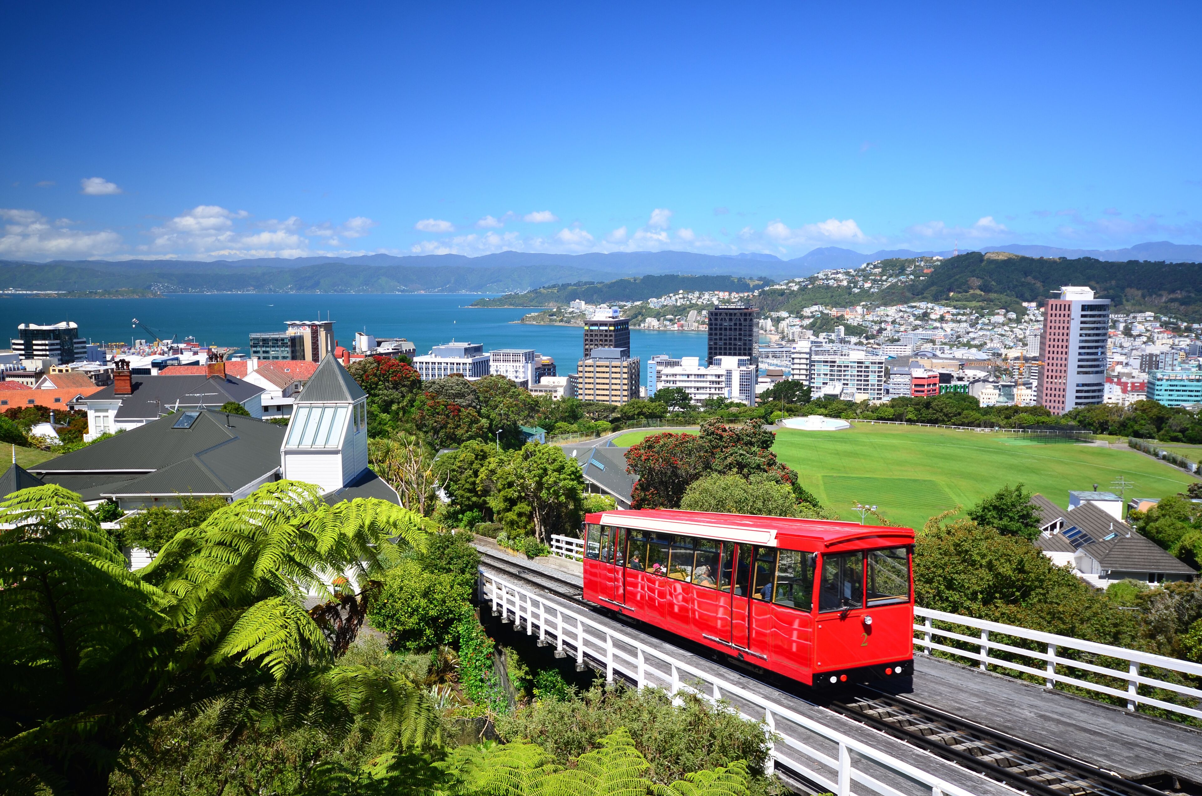 Wellington City