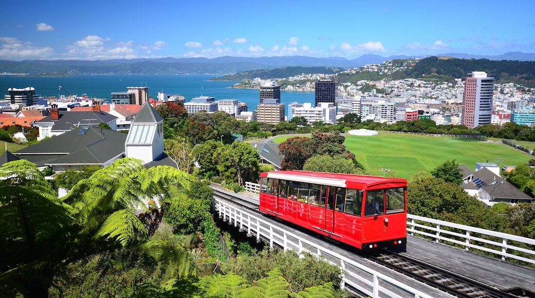 Wellington City