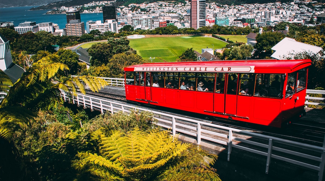 Wellingtons Cable Car