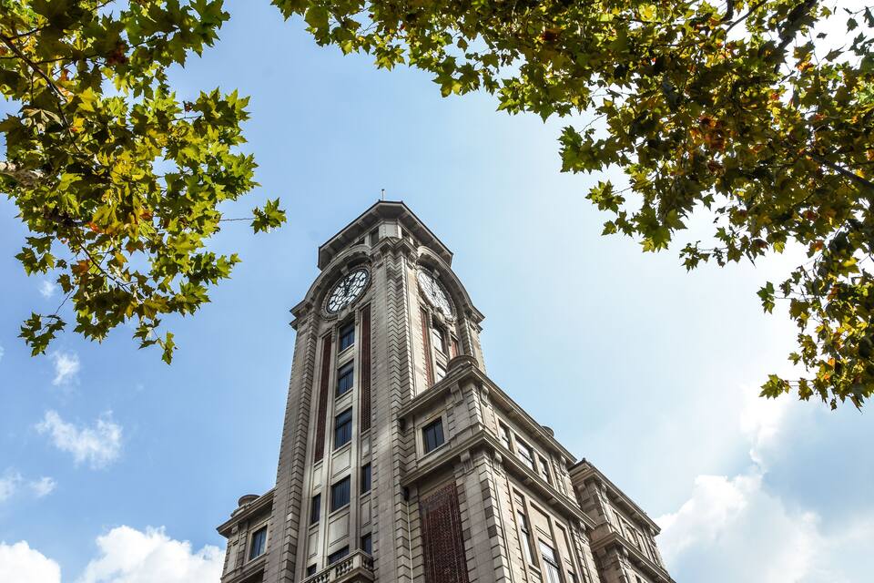 A tall clock tower with a clear sky and green leaves in the foreground.