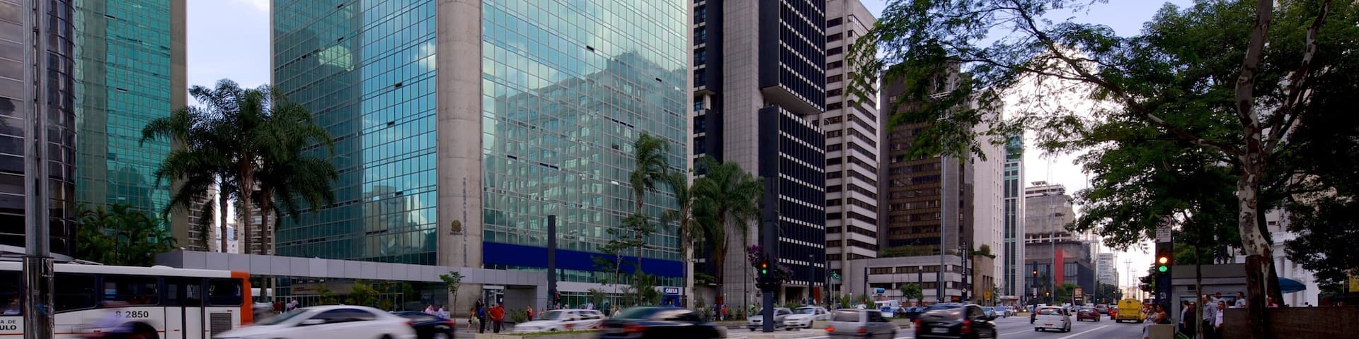 Una calle urbana con edificios modernos altos, palmeras y un tráfico intenso.