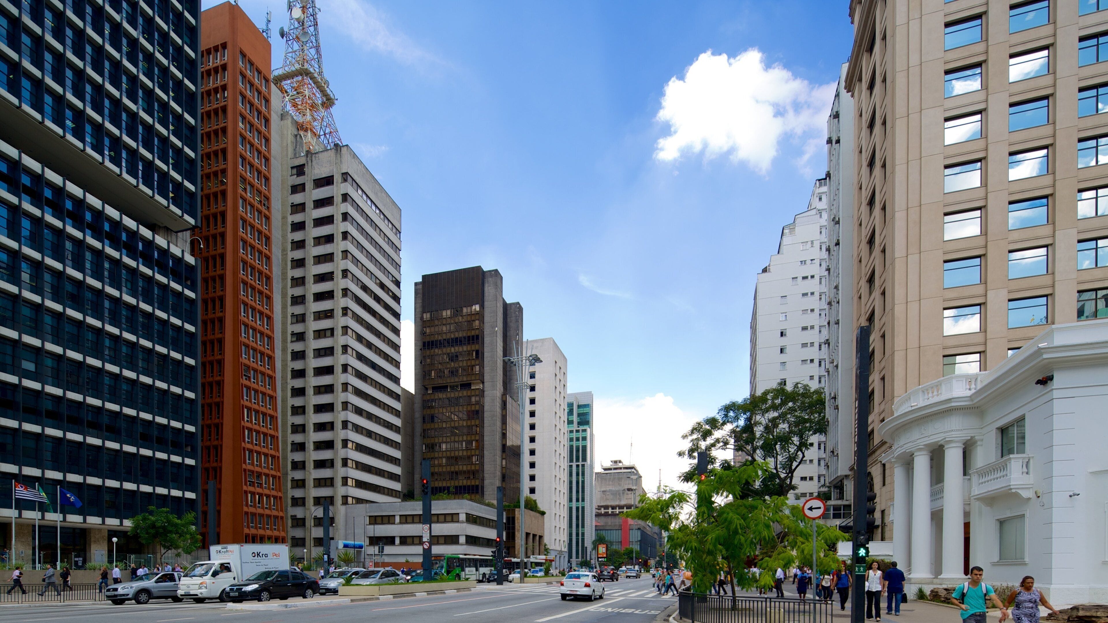 Avenida Paulista mostrando strade e città