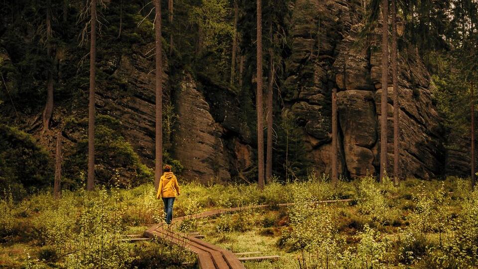 A person in a yellow jacket walking on a wooden trail in a forested area with rocky cliffs.