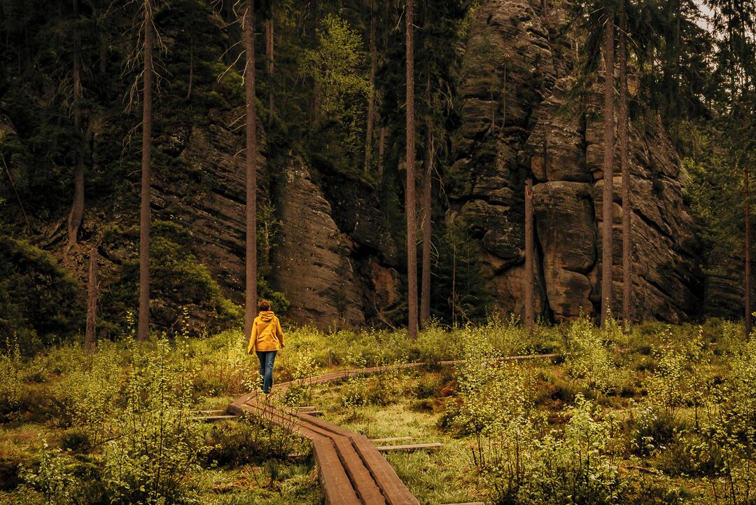 A person in a yellow jacket walking on a wooden trail in a forested area with rocky cliffs.