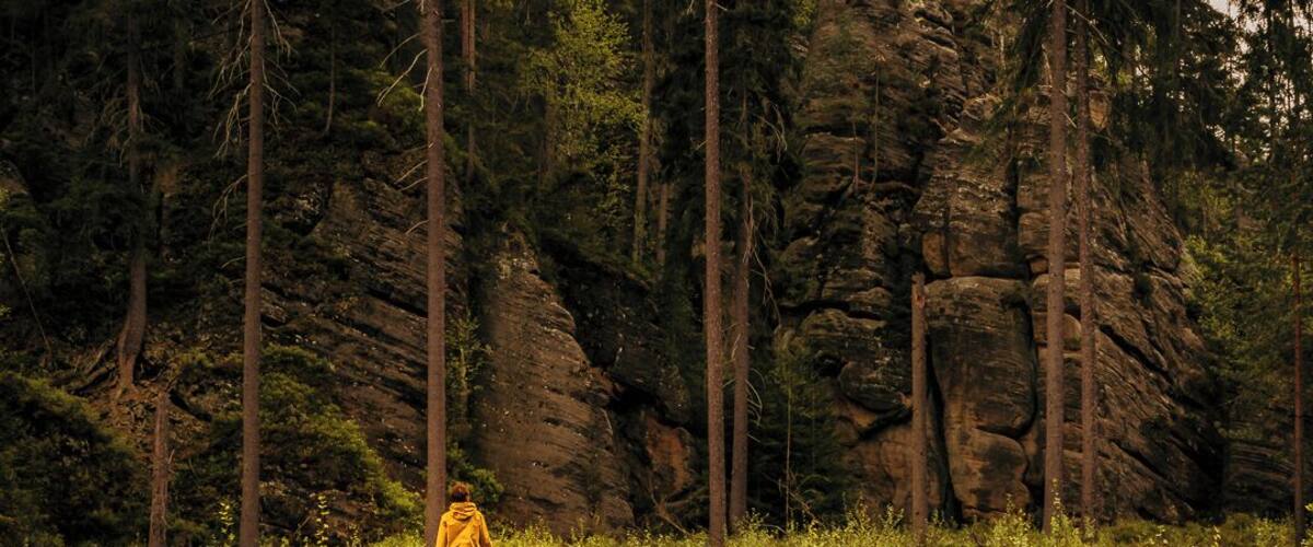 A person in a yellow jacket walking on a wooden trail in a forested area with rocky cliffs.