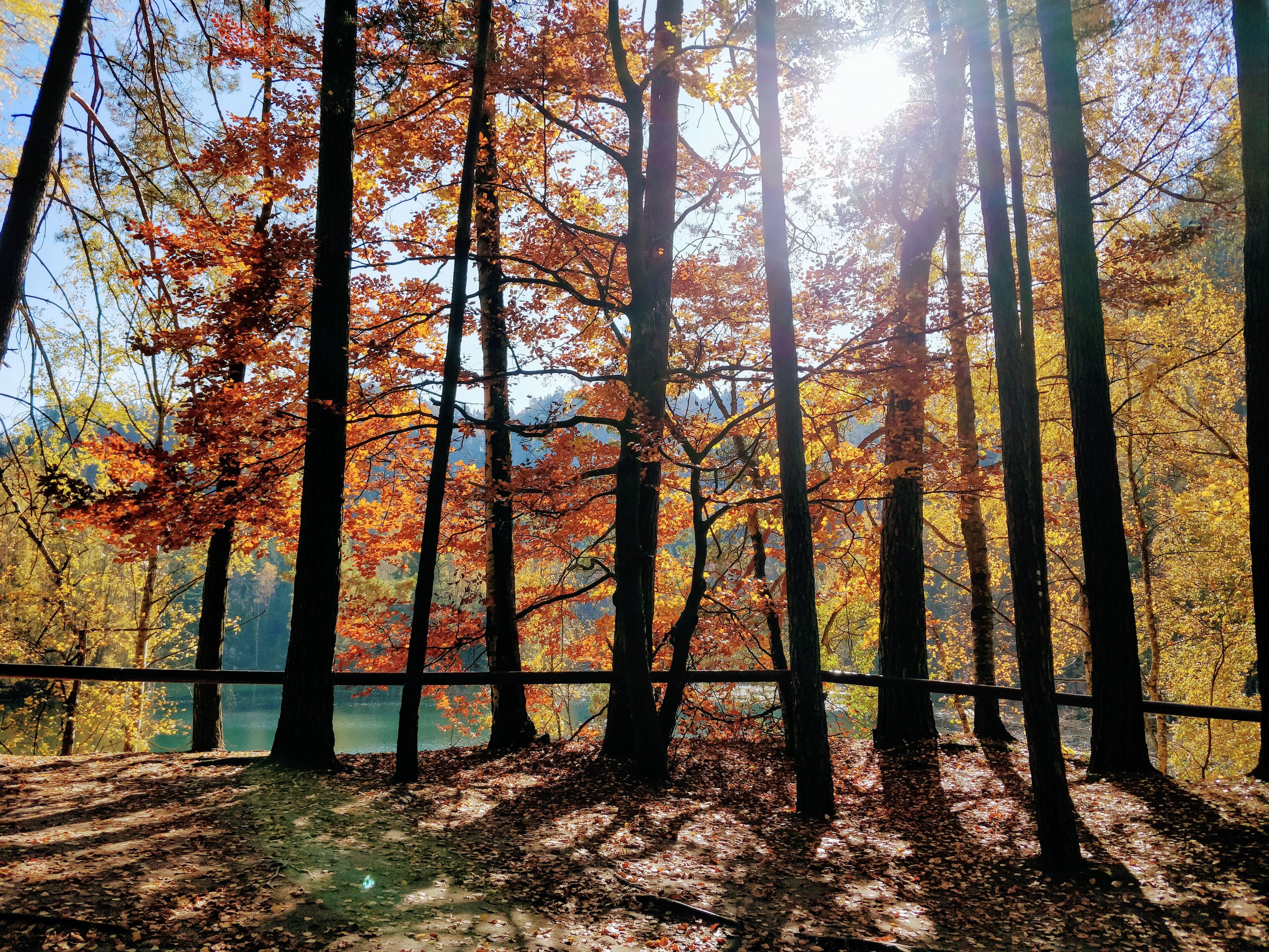 The lake in Adrspach-Teplice Rocks gives an awstruck view with autumn colors making it all the way more beautiful. #autumn 🍂 #LifeAtExpediaGroup
