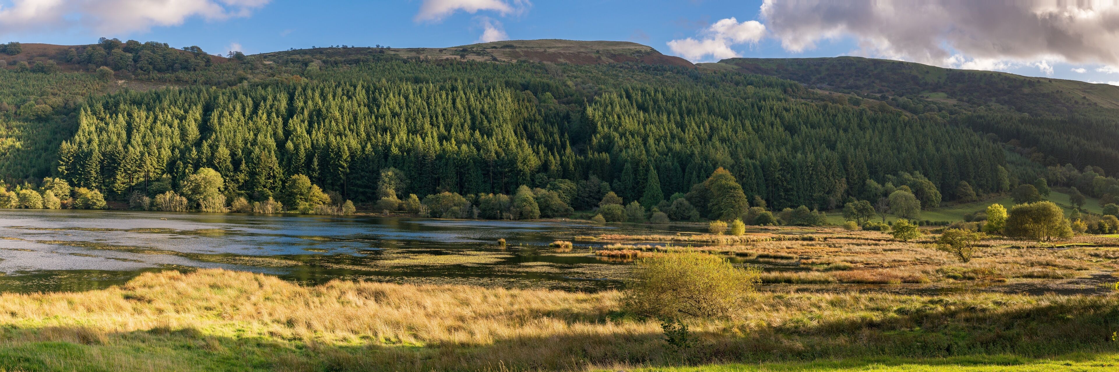 A river flowing through a forested valley with a hill in the background.