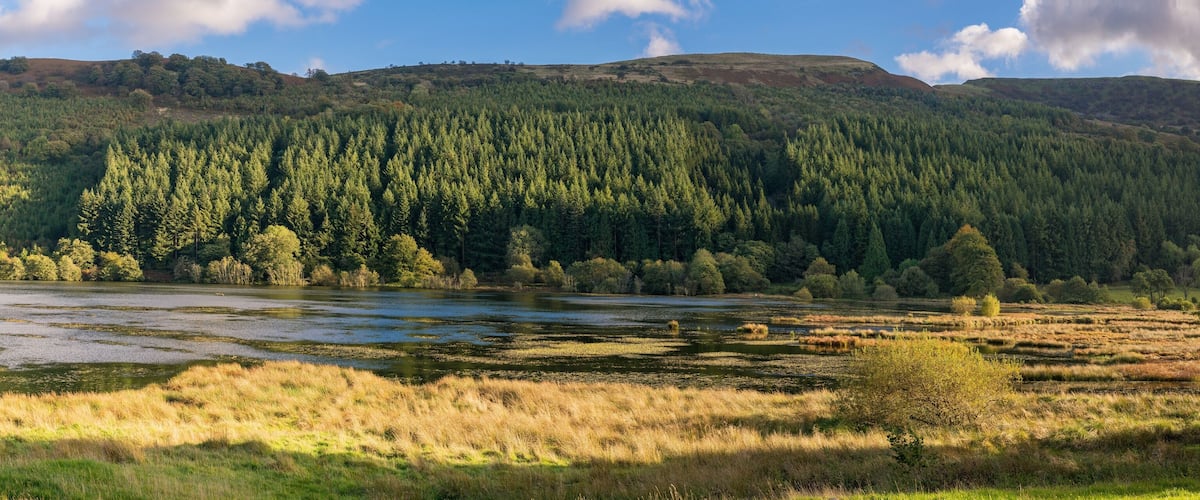 A river flowing through a forested valley with a hill in the background.