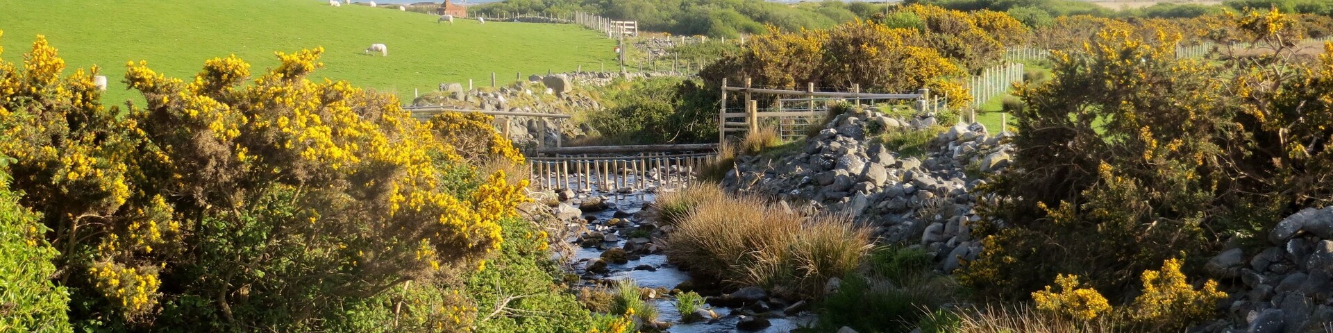 Egryn brook running to the beach - May 2013